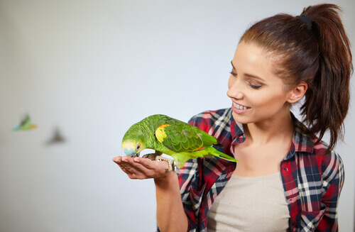 Die überraschenden kognitiven Fähigkeiten von Papageien
