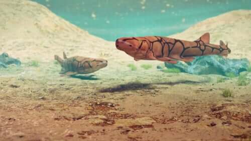 Im Dunkeln leuchtende Haie - Bild von Haien