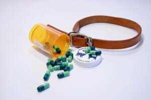 Medikamente für Menschen - Pillendose und Hundeleine