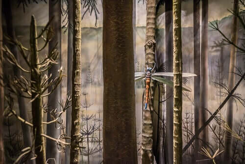 Rieseninsekten - Libelle im Wald