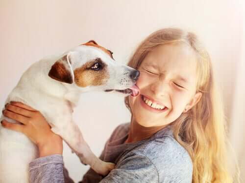 bewusstlos - Hund leckt Mädchen im Gesicht