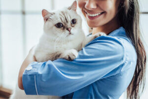 Notfallmedizin für Kleintiere: Primär- und Sekundärversorgung