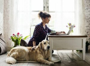 Postoperative Pflege - Hund neben Frau