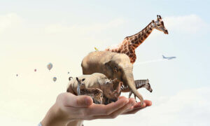 Viele tragen dazu bei, eine bessere Welt zu schaffen, in der der Schlüssel Respekt ist