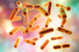 Diese Mikrobiota enthält Bakterien, Archaeen, Protozoen und Pilze.