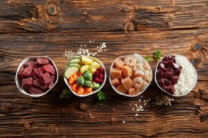 Die richtige Ernährung für Haustiere: So wichtig ist sie!