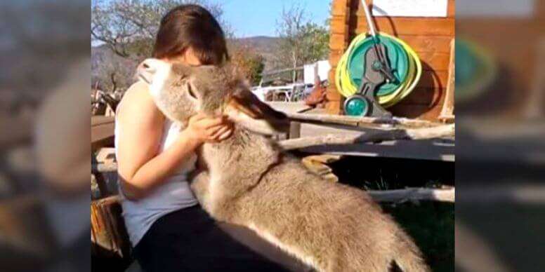 Der neugeborene Esel, der denkt, er sei ein Hund!