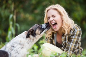 7 Gründe, warum dein Hund dich ableckt