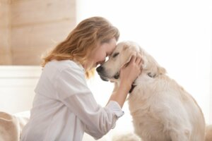 Warum sich dein Hund an dich anlehnt