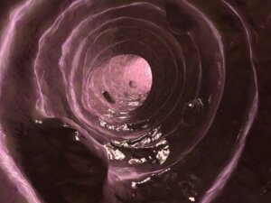 Schleim im Hundekot: Ursachen und Behandlung