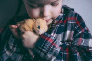 Wie Hamster mit Menschen kommunizieren