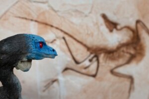 6 europäische Dinosaurier