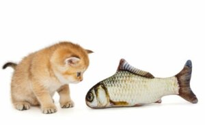 Amüsante Anekdoten über Katzen