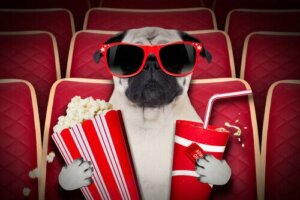 Kommen hundefreundliche Kinos in Mode?