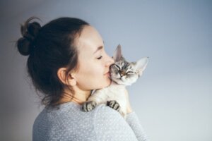 Woher weiß ich, ob ich zu den Katzenliebhabern zähle?