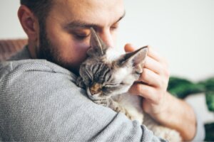 Ist es eine gute Idee, mit deiner Katze in einem Bett zu schlafen?