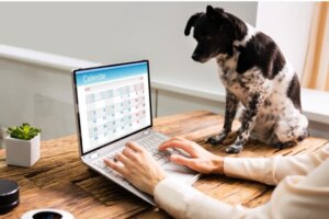 6 Praktiken, um eine Routine für deinen Hund zu etablieren