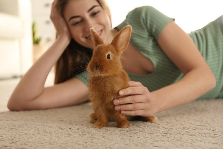 Vor- und Nachteile der Kaninchenhaltung
