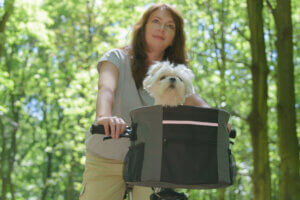 Sicher unterwegs mit den Fahrradkörben für Hunde