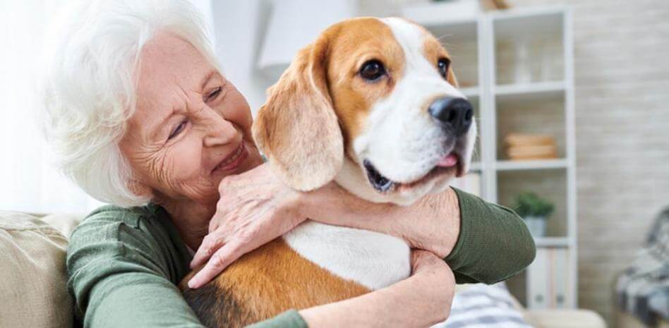 Häusliche Hygiene mit deinem Haustier