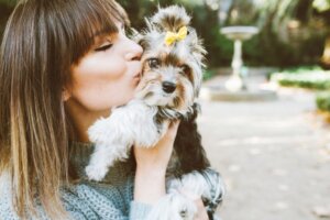10 Medikamente zur Behandlung von Ängsten bei Hunden