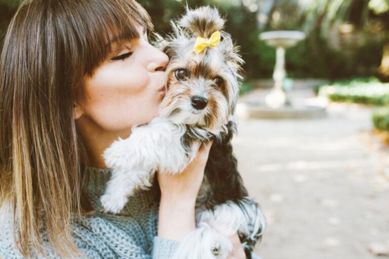 10 Medikamente zur Behandlung von Ängsten bei Hunden