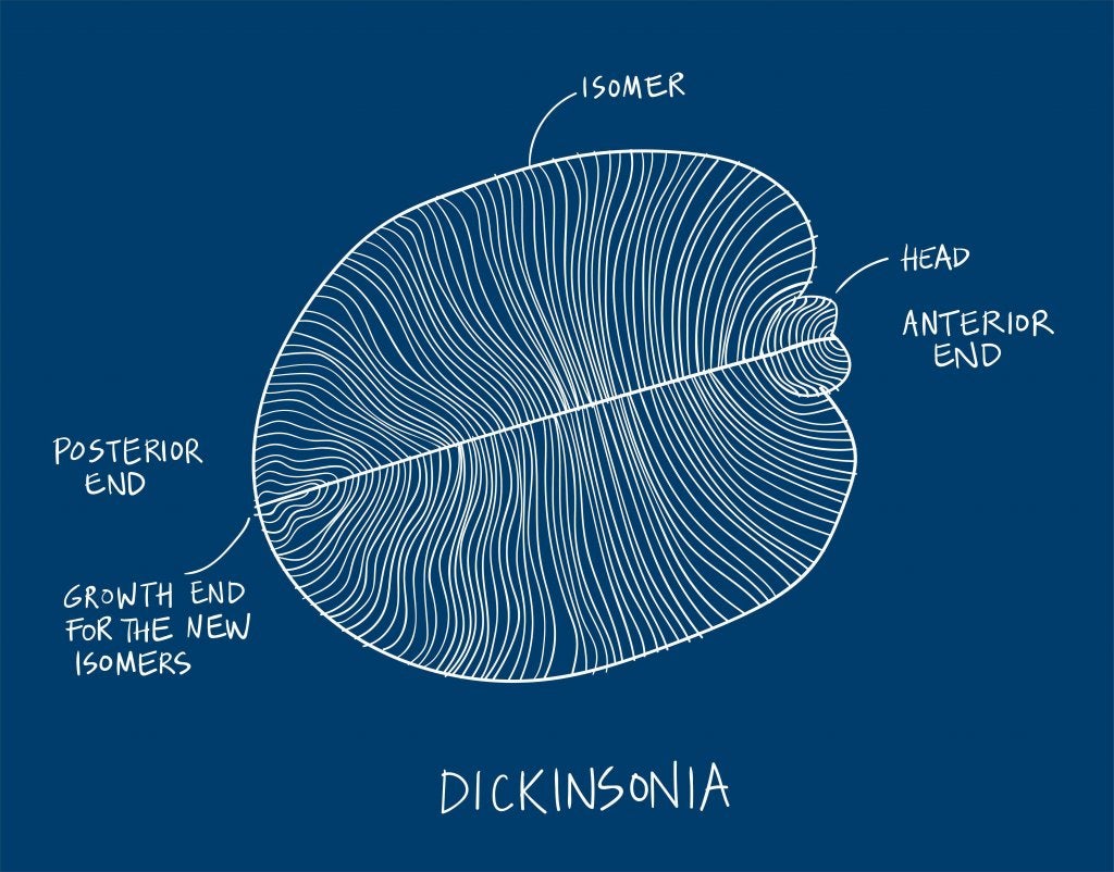 Offiziell verkündet: Das erste Tier der Welt