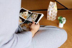 Verlust eines Haustieres: Wie kann ich helfen?