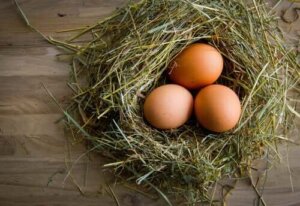 Wie du die Qualität von Hühnereiern verbesserst