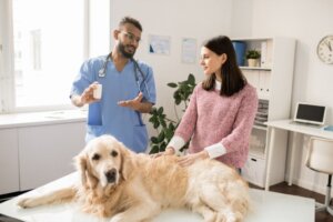 Neue Studie untersucht weltweit das Mikrobiom von Hunden