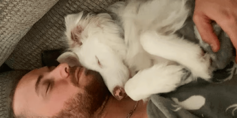 Tierarzthelfer kommuniziert mit seinem blinden Hund