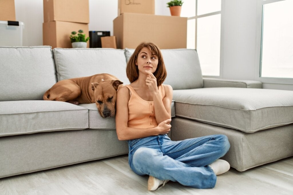 8 Gesten von Hunden, die wir falsch interpretieren