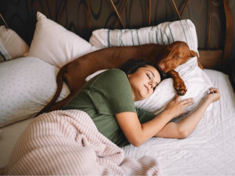 Gründe, warum dein Hund gerne bei dir schläft