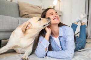 Warum die Begrüßung durch deinen Hund heilsam für deine Seele ist