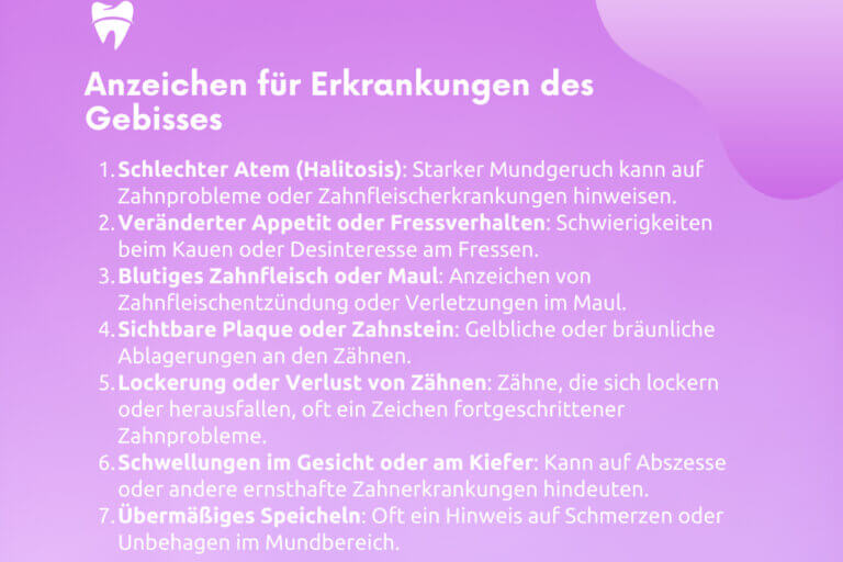 erkrankungen des gebisses bei katzen