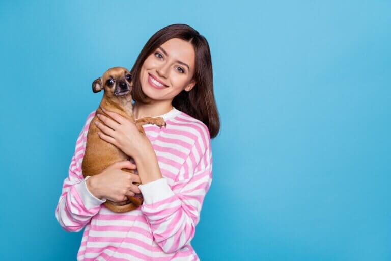 Haustiere und ihre positiven Auswirkungen auf unser Leben