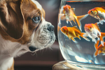 Warum Tiere unser Leben bereichern: Vom Hund bis zum Aquarienfisch